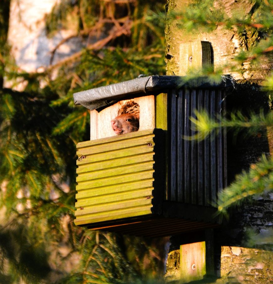 Foto Eichi hat sein Ziel erreicht